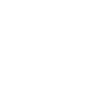 icon ticket